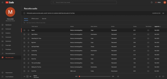 YouTube Studio (Raccolta Audio)