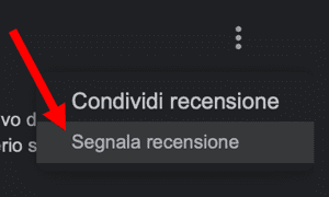 Clicca su segnala recensione