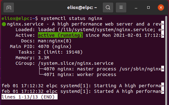 Verificare che Nginx sia in esecuzione