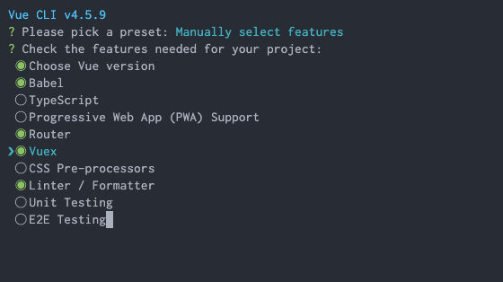 processo di installazione tramite Vue CLI