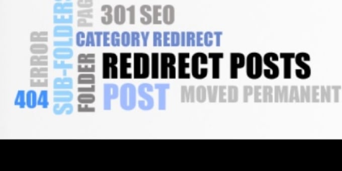 SEO Redirection Plugin