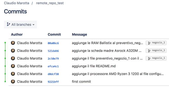 elenco commit repository remoto