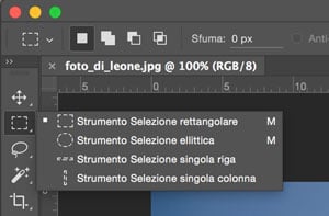 Clicchiamo sullo strumento di selezione ellittica