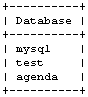 Elenco dei database presenti in MySQL