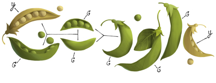 Google celebra Mendel