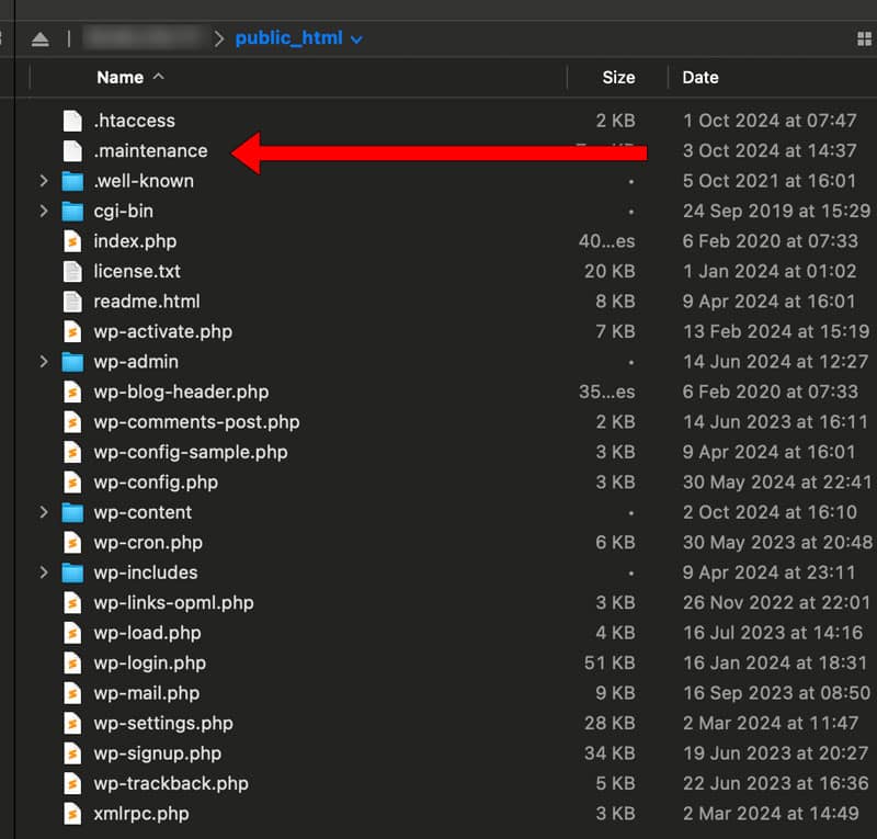 Directory dei file con cartelle e file, freccia rossa che punta alla cartella ".well-known", elemento essenziale per la manutenzione di WordPress.